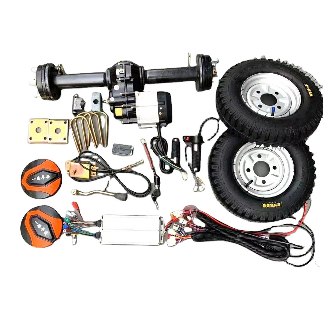 Electric Steel Customized 48V Electric Moped 3 Wheel 2 T 800 W Engine Electric Tricycle Accessories